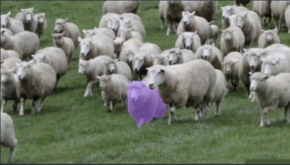 Tracked Sheep